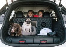 Nissan X-Trail 4Dogs, il SUV perfetto per Fido [Video]