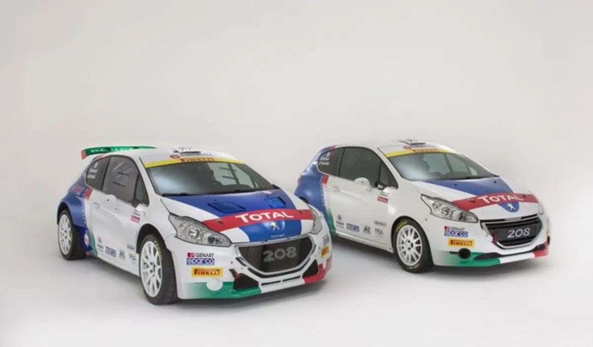 CIR 2017. Andreucci e il “Diabolico” Programma Peugeot Italia (10)