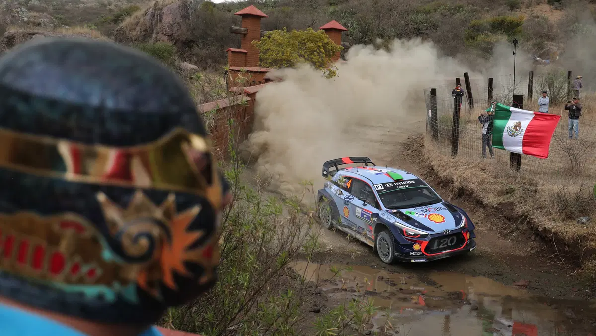 WRC17 Mexico. Grandi programmi. Ma intanto Piove! (13)