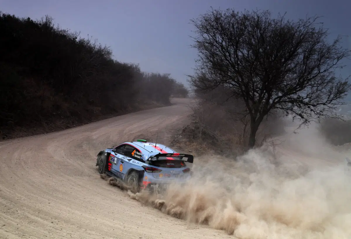 WRC (5)