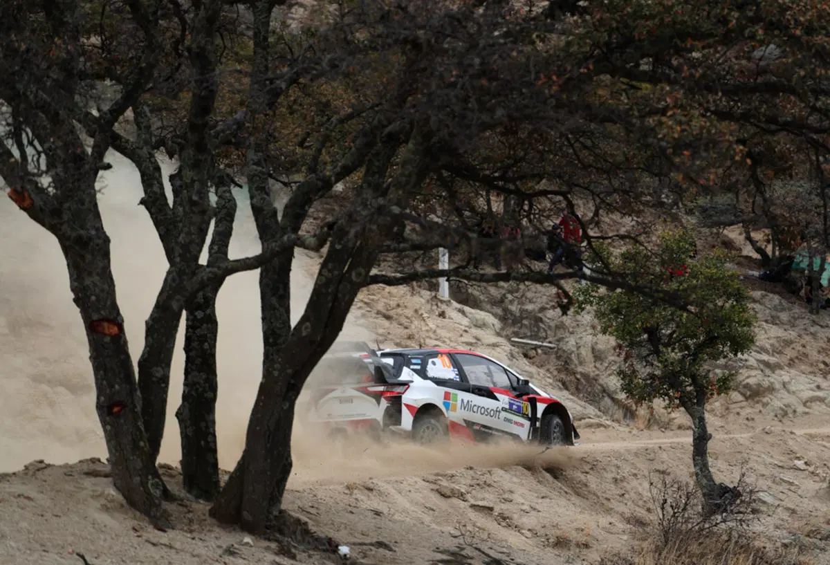 WRC (7)
