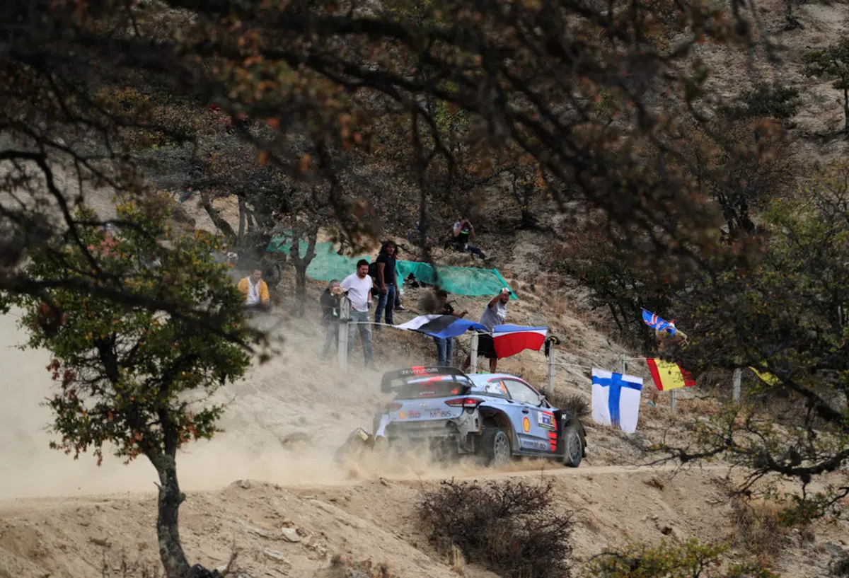 WRC (9)
