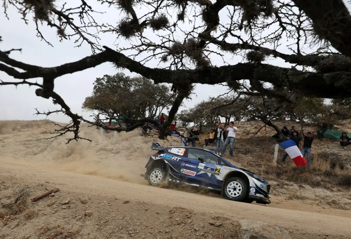 WRC (10)