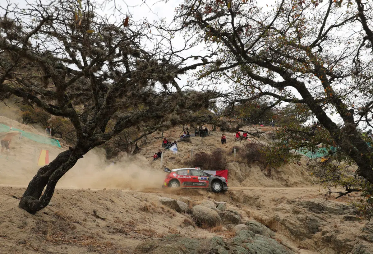 WRC (19)
