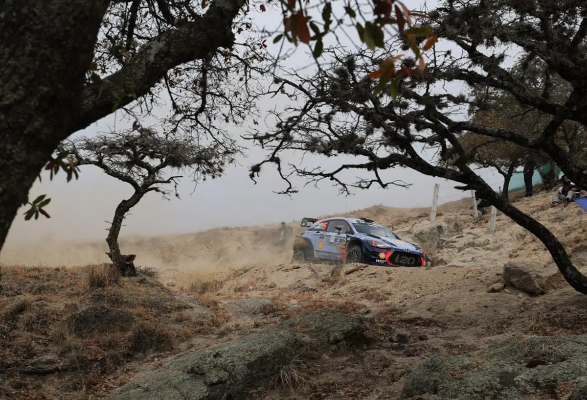 WRC (22)