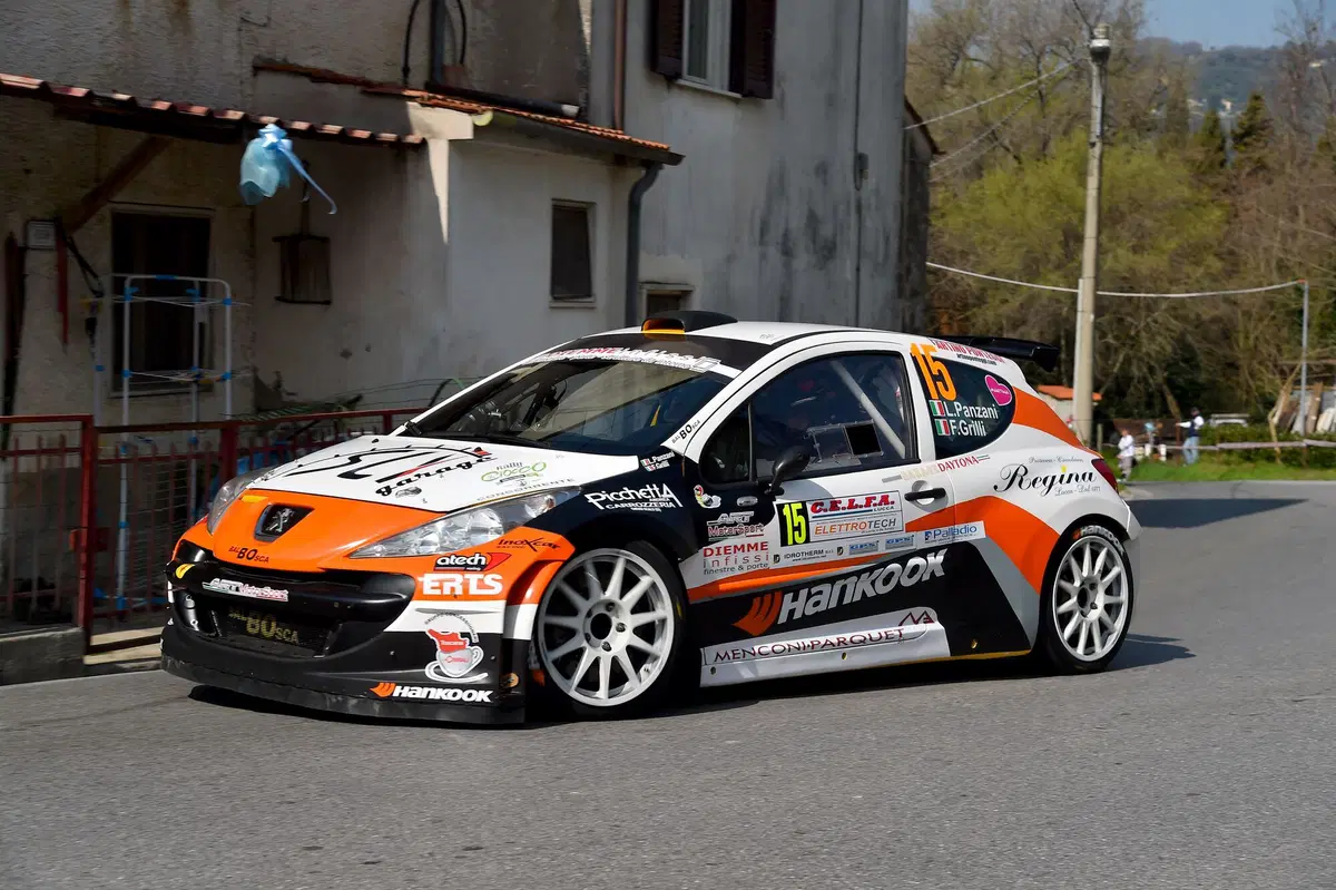 CIR 2017. Rally il Ciocco Part 1: Vincono Andreucci-Andreussi-Peugeot (14)