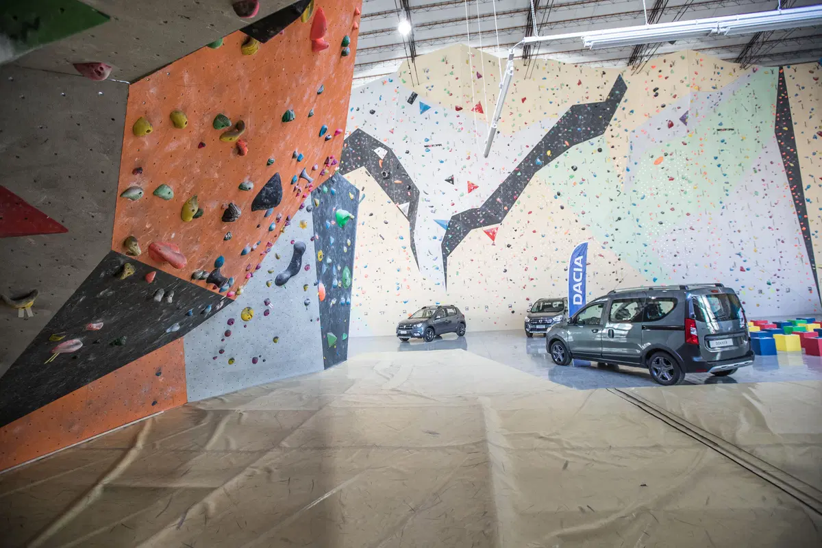 Dacia: ecco la serie speciale Brave (16)