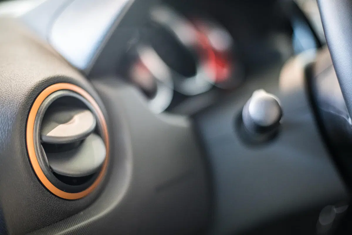Dacia: ecco la serie speciale Brave (21)