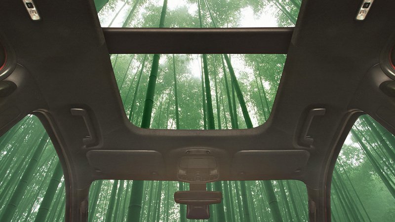 Idea Ford: il bamb&ugrave; al posto della plastica [Video]