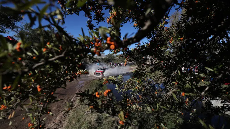 WRC 2017/Citroen. Meeke Vince Due Volte (Ma Non Passa al Casello dei Giganti)